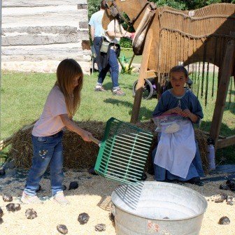 2025 Thresheree & Harvest Festival